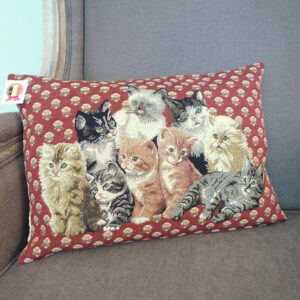Coussin chats -- 35x45cm-10600