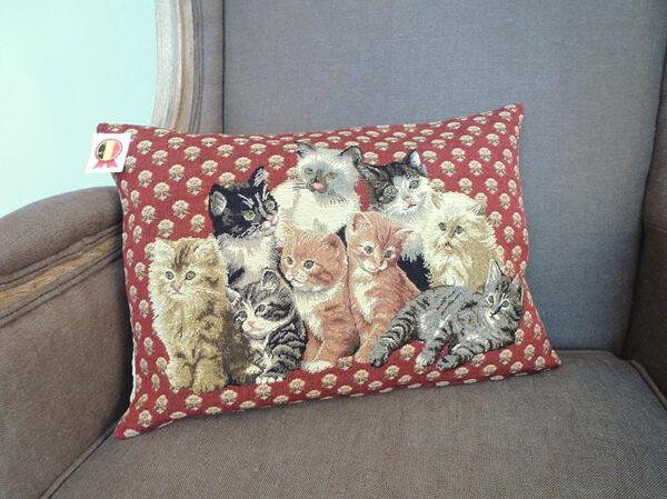 Coussin chats -- 35x45cm-10600