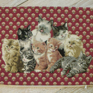 Coussin chats -- 35x45cm-10599