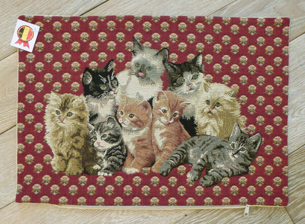 Coussin chats -- 35x45cm-10599