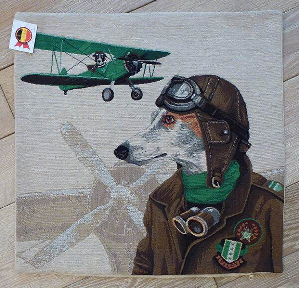 Coussin chien pilote vert -- 45x45cm-10529